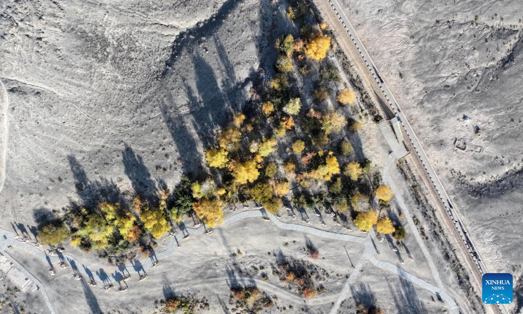 Autumn scenery of Jiayu Pass in Gansu, NW China(图6)