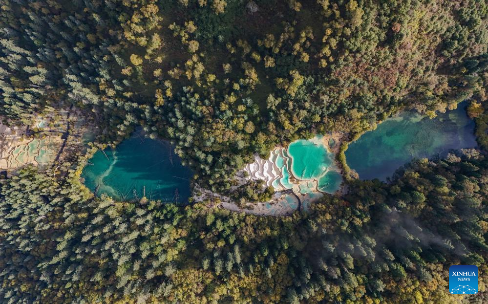 Autumn view of Jiuzhaigou in Chinas Sichuan(图5)