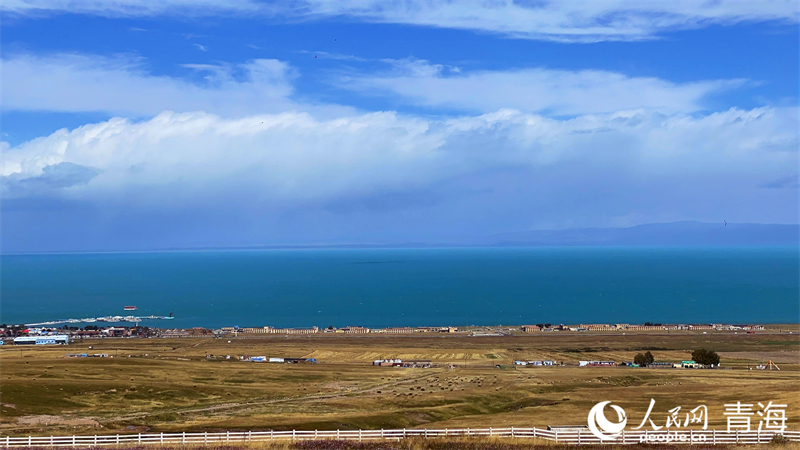 Vibrant autumn in Qinghai Lake, Chinas largest inland saltwater lake(图5)