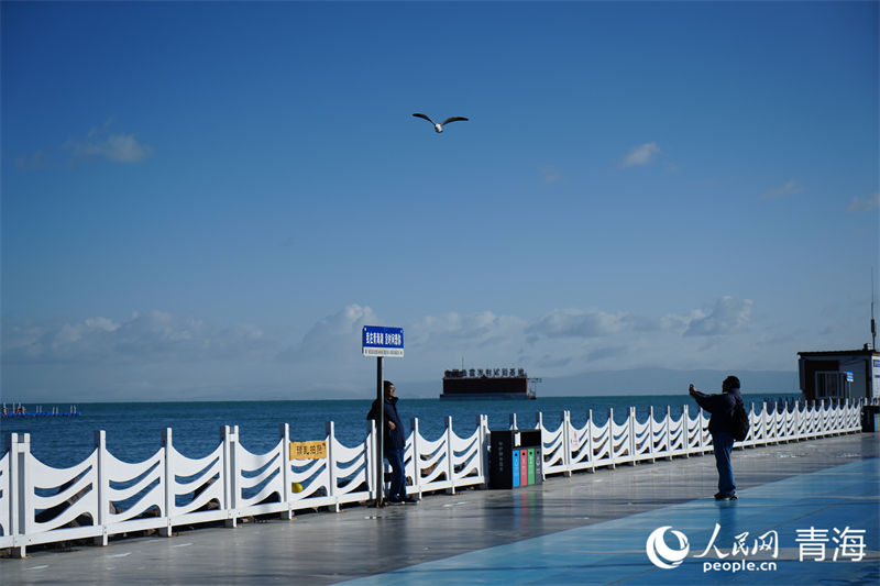 Vibrant autumn in Qinghai Lake, Chinas largest inland saltwater lake(图3)