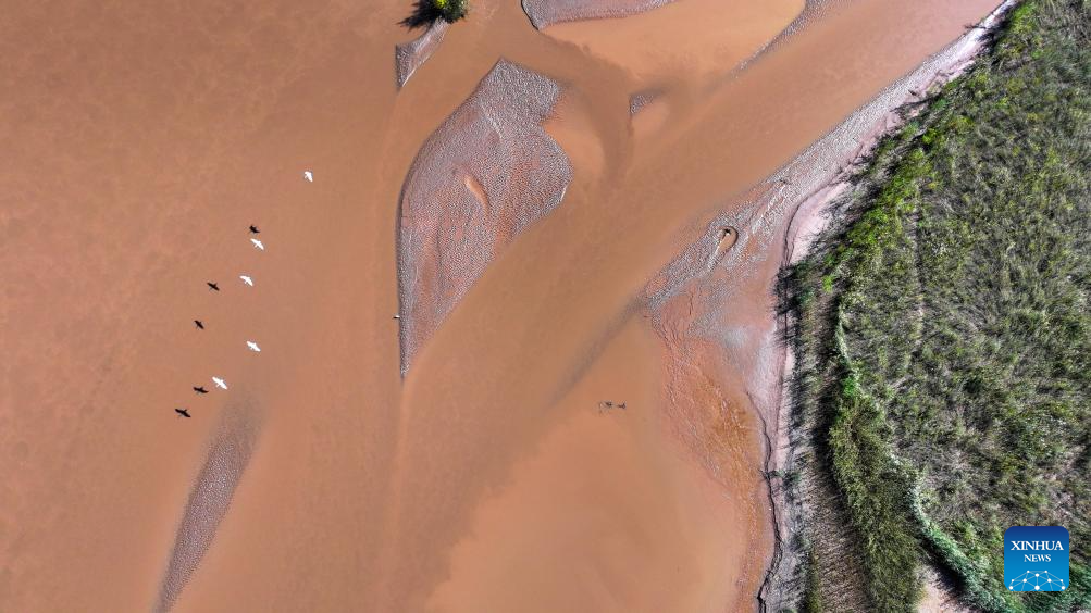 View of section of Yellow River in NW China(图5)