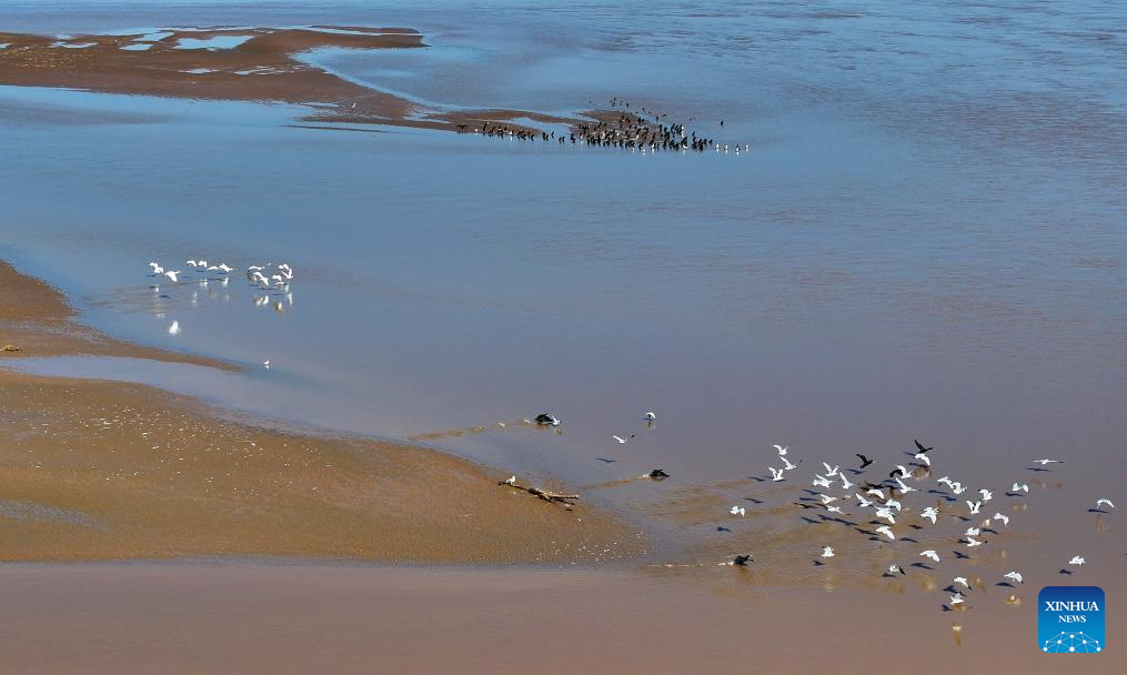 View of section of Yellow River in NW China(图9)