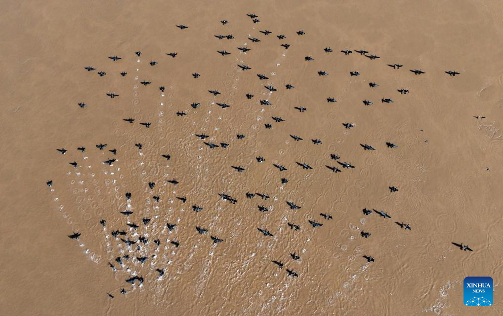 View of section of Yellow River in NW China(图10)