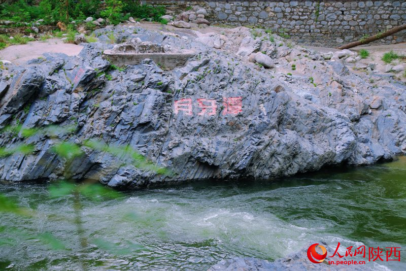 Ecological restoration transforms NW China’s Shaanxi(图5)