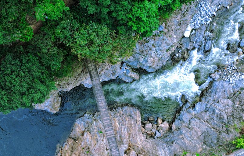 Ecological restoration transforms NW China’s Shaanxi(图1)