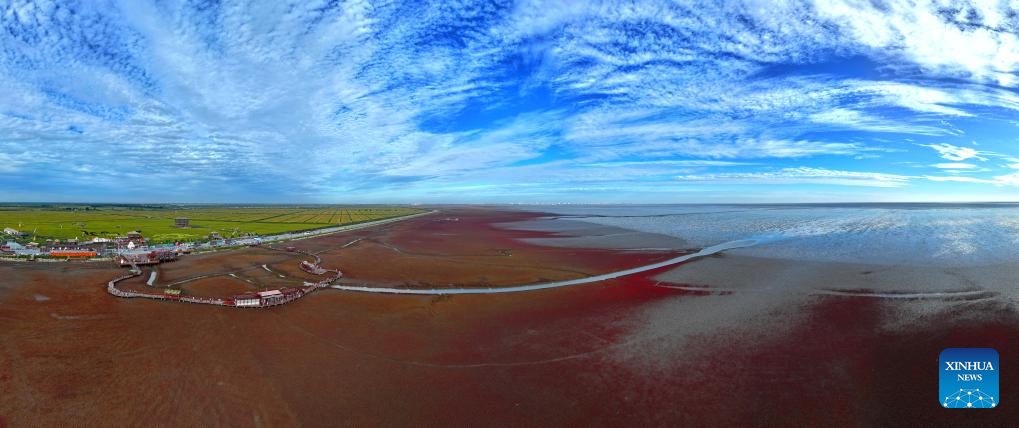 View of Red Beach scenic area in Chinas Liaoning(图10)