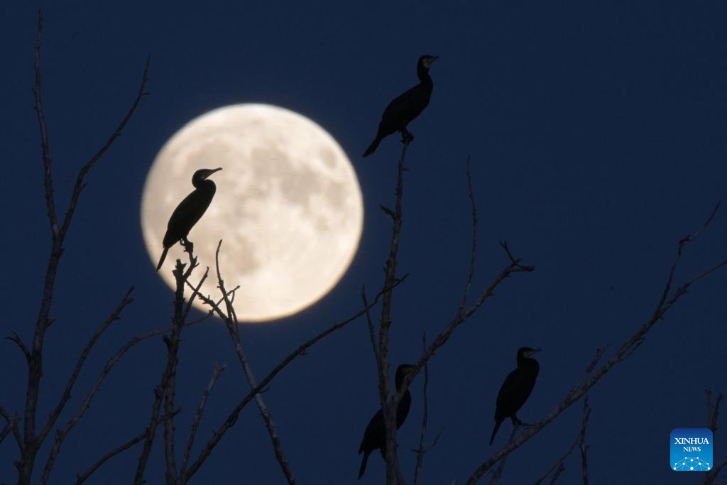 Full moon shines on night of Mid-Autumn Festival in China(图3)