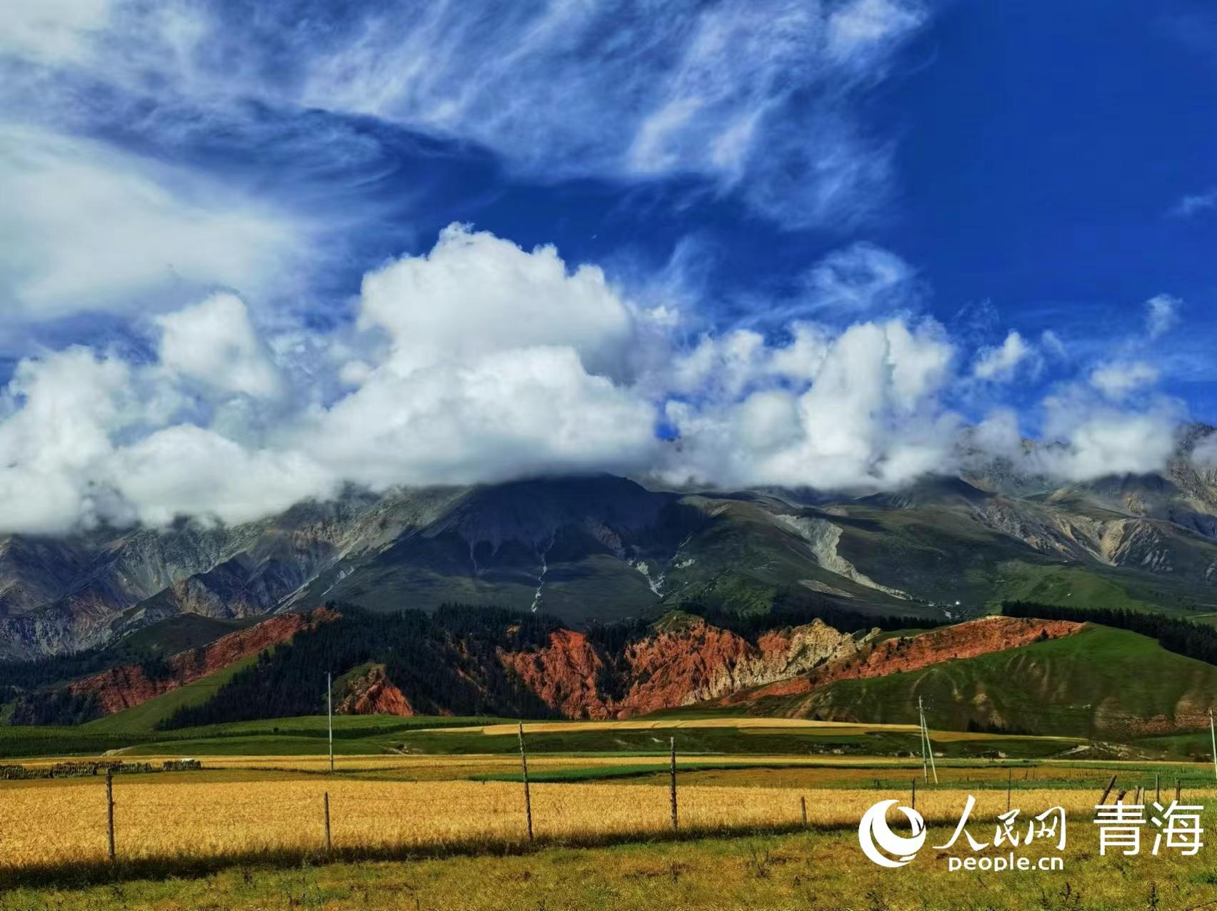 Autumn scenery of Qilian Mountains in NW Chinas Qinghai(图2)