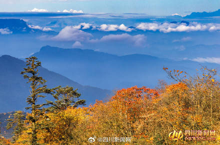 Like a poem or a painting! The colorful forest of Mount Emei welcomes its best viewing period(图3)