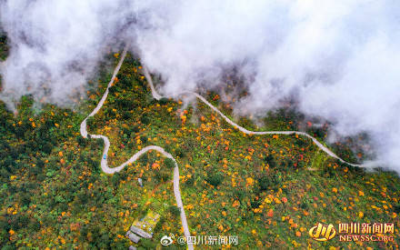 Like a poem or a painting! The colorful forest of Mount Emei welcomes its best viewing period(图1)