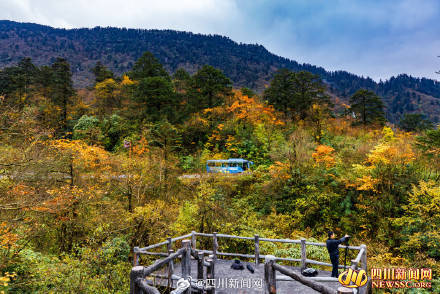 Like a poem or a painting! The colorful forest of Mount Emei welcomes its best viewing period(图7)