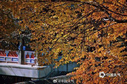 The autumn charm of the Summer Palace in Beijing is strong, and the ancient architecture and colorful leaves complement each other beautifully(图1)