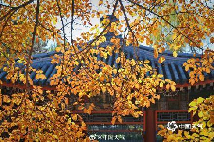 The autumn charm of the Summer Palace in Beijing is strong, and the ancient architecture and colorful leaves complement each other beautifully(图7)