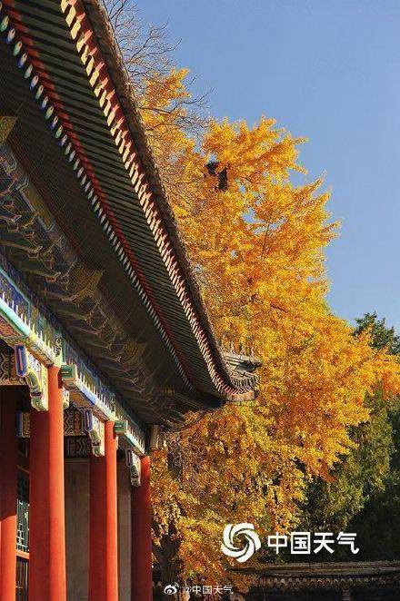 The autumn charm of the Summer Palace in Beijing is strong, and the ancient architecture and colorful leaves complement each other beautifully(图9)