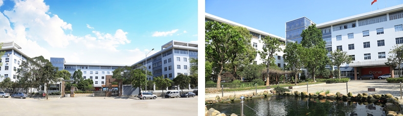 Shenzhen Terui Huateng New Energy Co., Ltd(图1)