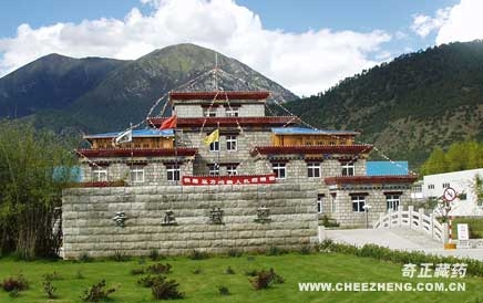 Tibet Qizheng Tibetan Medicine Co., Ltd  | Qingpeng Ointment(图1)