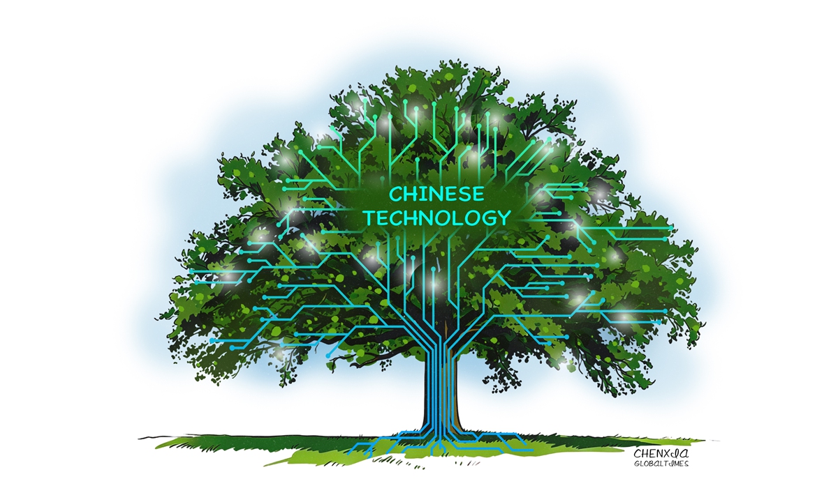 Higher walls, stronger innovation: What US chip blockade brings to China(pic1)